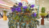 razstava-cvetjat-2025-novica-image-04